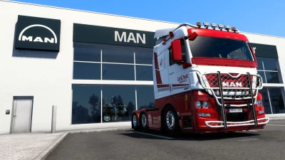 LeChat Logistics skin for MAN Euro 6 v1.0