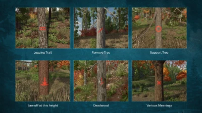 Platinum Preview: Tree Marking Sprays & Signs v1.0.0.0