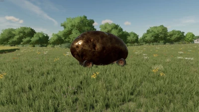 Potato v1.0.0.0