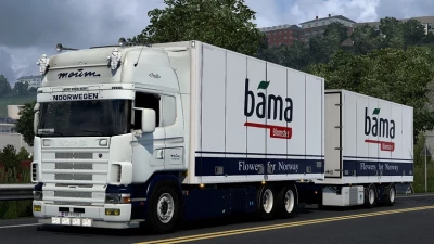 Scania RJL R4 Moum Tandem Skin 1.45