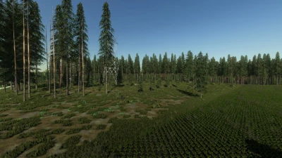 Wild River Forest v1.0.0.0