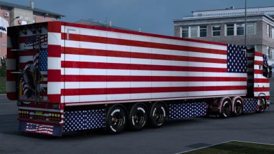 America Skin 1.46