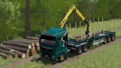 MAN TGX Forest Semi-Truck v2.0.0.0