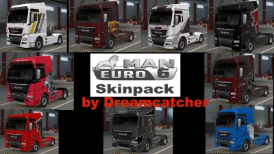 MAN TGX Euro6 skins v1.0