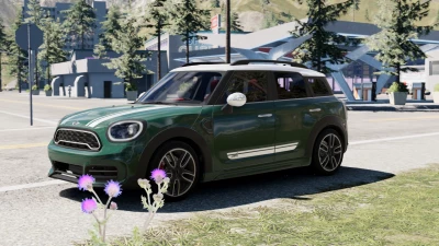 Mini Countryman (2019+) v1.0