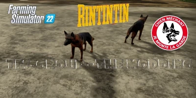 RINTINTIN v1.0.0.0