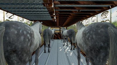 Silverstar Horse Trailer V1.0.0.0