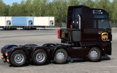 SKIN MAN TGX EURO 6 UPS 1.0 1.46