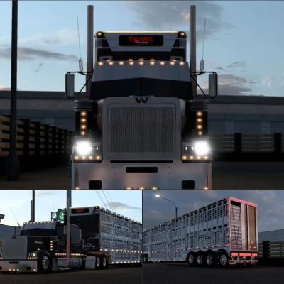 Western Star 4900 ZD 1.46