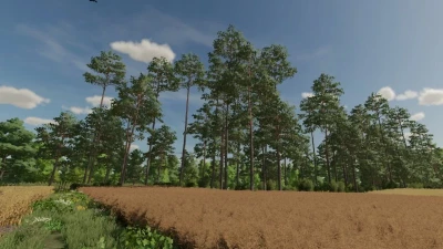 FS22 DOLINA v1.0.0.0