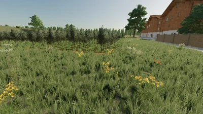 FS22 Fazenda Umari V1.2