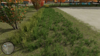 Grass in all states for Painting v1.0.0.0