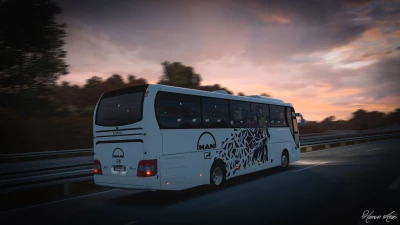 Man Lion’s Coach 1.43