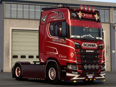 Scania S NG Skin v1.0