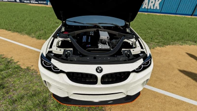 BMW M4 GTS 2016 V1.0.0.0