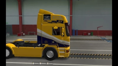 Steinle Schwertransport Paintjobs v1.0