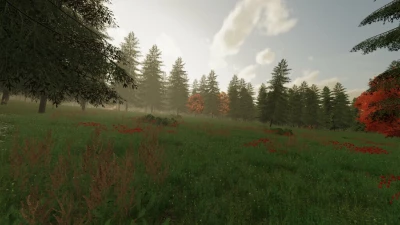 The Risoux Forest v1.1.0.0