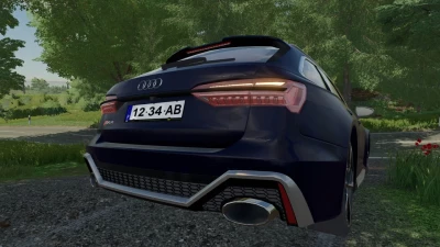 Audi RS6 Avant C8 v1.0.0.0