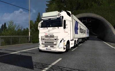 SKIN VOLVO FH5 2020 DB SCHENKER 1.0 1.44