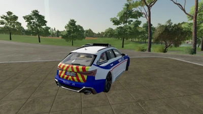 Audi RS6 Police v1.1.0.0