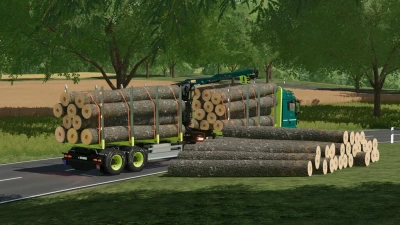 MAN TGX Forest Special v1.0.0.0