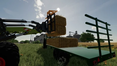 Lizard Bale And Pallet Trailer v1.0.0.0