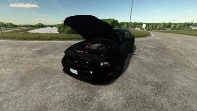 2013-14 Ford Mustang (IC & Passenger) v1.0.0.0