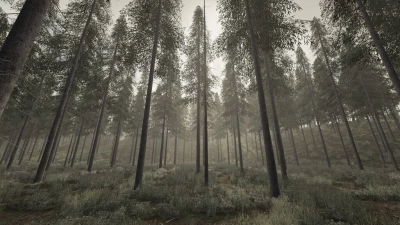 Holmåkra 22 Map v1.1.0.0