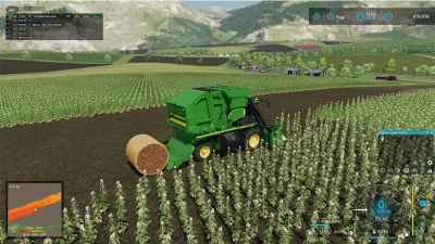 Mountain Hill 2022 4-fach v3.0.1.4