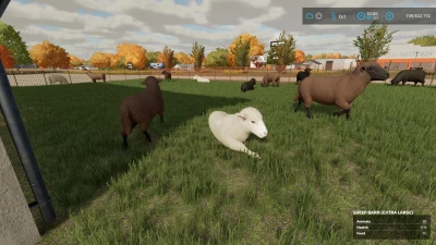 Extra Large Sheepfold v1.0.0.0