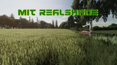 GSG Realshade v1.0.0.0