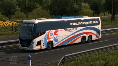 Indian Canara Pinto Skin Pack for Scania Touring v1.0