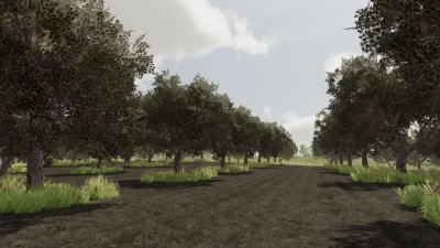 Olives + Olive Picker v1.0.0.0