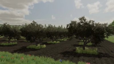 Olives + Olive Picker v1.0.0.0