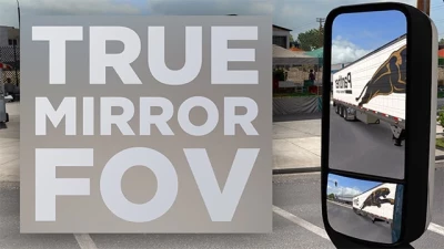 True Mirror FOV v2.3