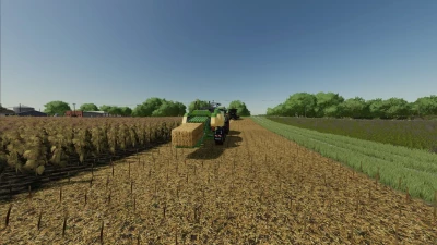 Extended Straw Crops v1.0.0.0