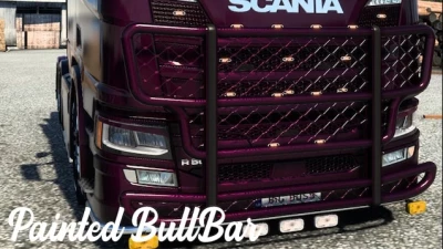 Painted Bull Bar 1.45