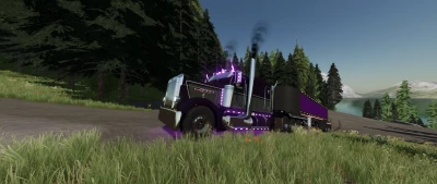 Peterbilt 389 custom fix v2.0