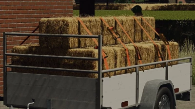 Saris Trailer DW 150 v1.1.0.0