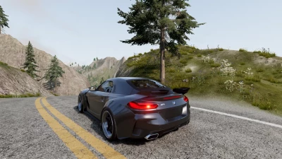 BMW Z4 G29 RELEASE v1.1