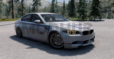 BMW 5-Series (F10) v1.0 0.30.x