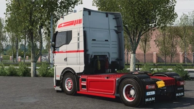 MAN TGX 2020 Grey Red Skin 1.48