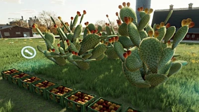 Prickly Pear Cactus v1.0.0.0