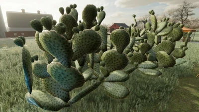 Prickly Pear Cactus v1.0.0.0