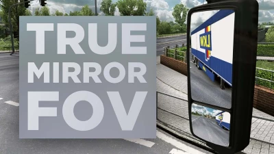 True Mirror FOV for ETS2 1.48.5a