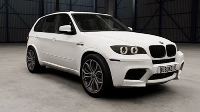 BMW X5M E70 0.30.x