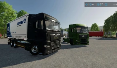 MAN TGX 2020 + Swap bodies Addons V1.0.0.0