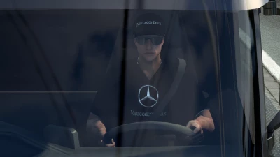 Mercedes Benz Driver Skin 1.48.x