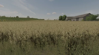 Oat Texture v1.0.0.0