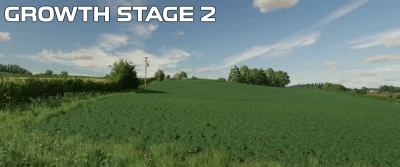 OSR/Canola Crop Textures v1.0.0.0